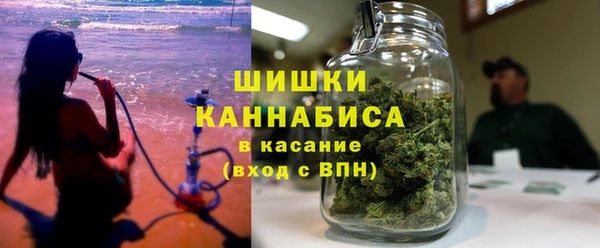прущие грибы Балабаново