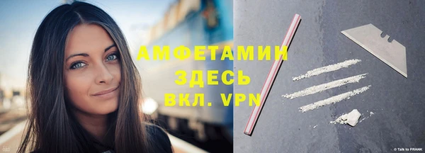 прущие грибы Балабаново
