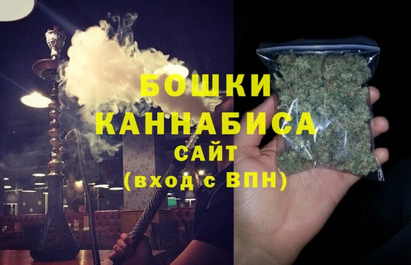 прущие грибы Балабаново