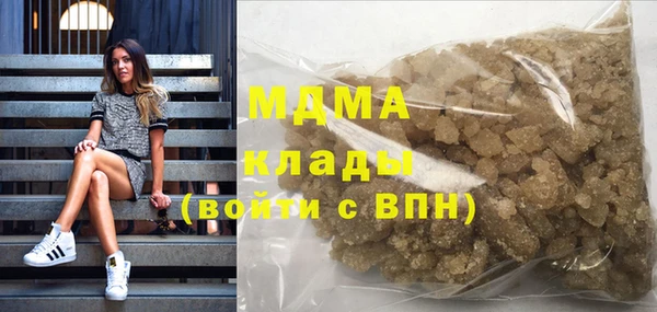 прущие грибы Балабаново