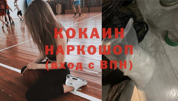 прущие грибы Балабаново