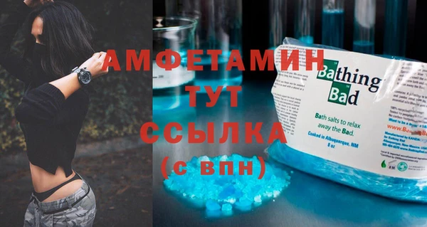 прущие грибы Балабаново
