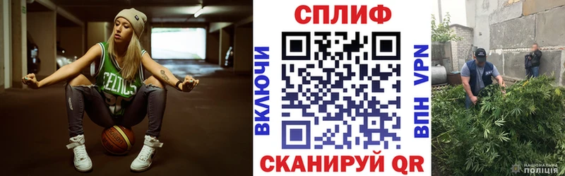 omg ТОР  Чекалин  Канабис семена 